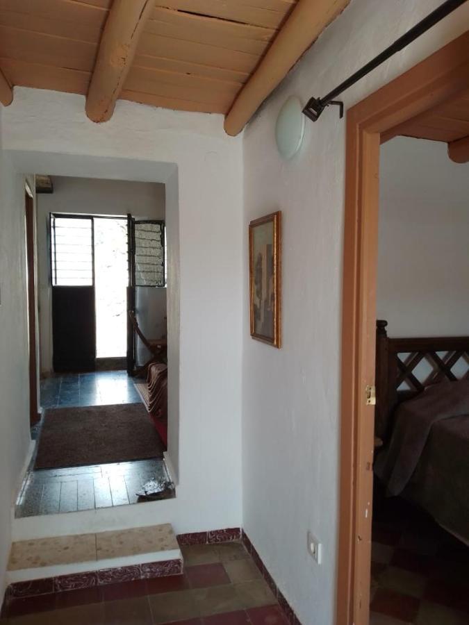 La Casita En La Alcornocosa -Sevilla المظهر الخارجي الصورة